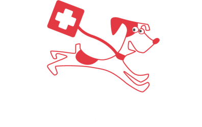 Swiss Canicross
